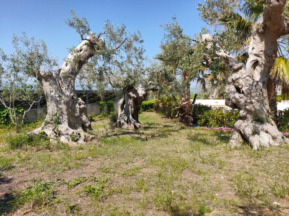 Villa Vittoria Matera Eksteriør billede